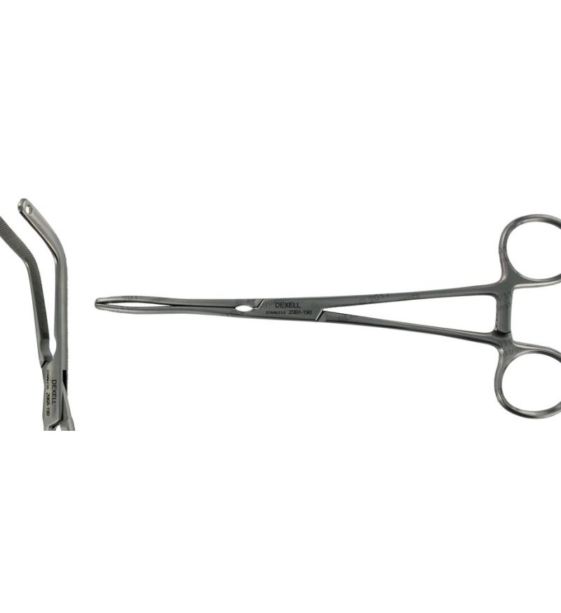 2068 - Forcep Bone Graft CVD 19cm