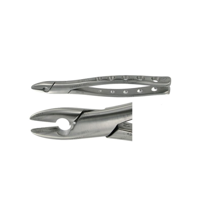 POWER DENTAL USA American Forcep 1 Upper Central