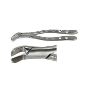 POWER DENTAL USA American Forcep 6  Lower SPLIT