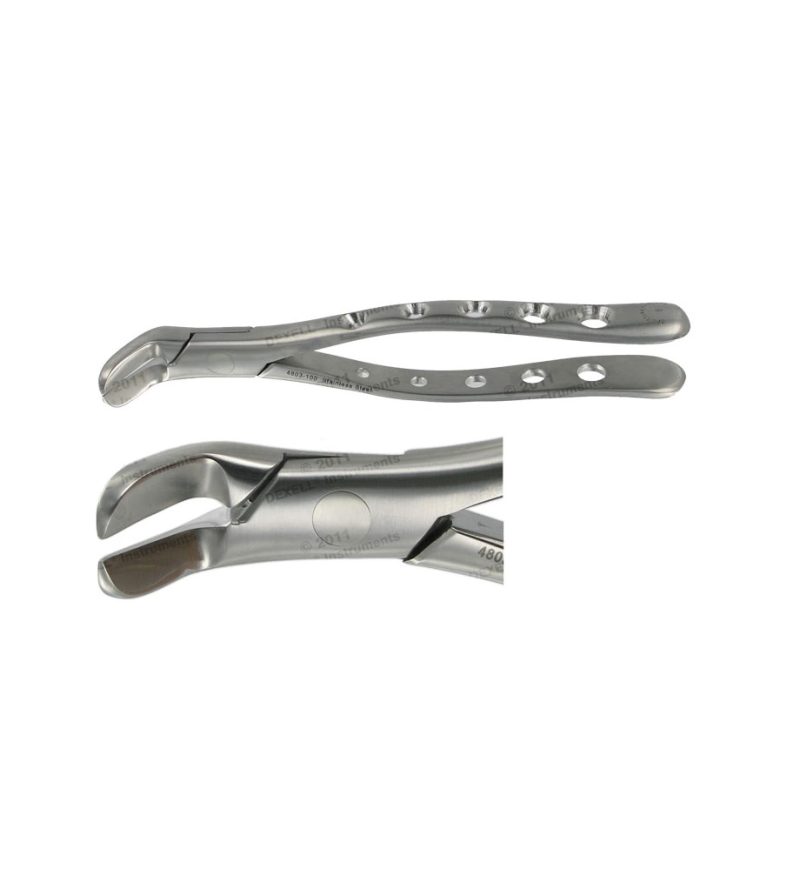 POWER DENTAL USA American Forcep 6  Lower SPLIT