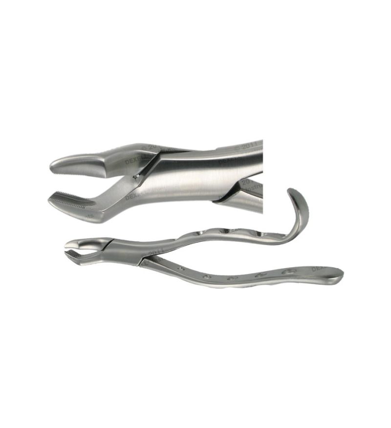 POWER DENTAL USA American Forcep 10H Upper Molar