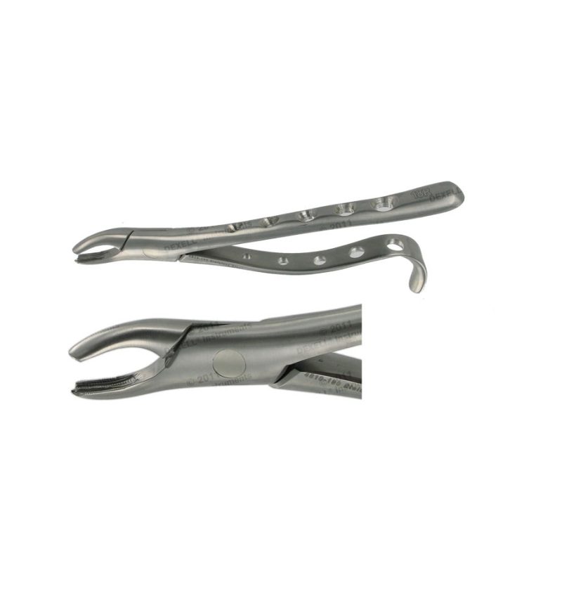 POWER DENTAL USA American Extraction Forcep 18R  Upper Molar R