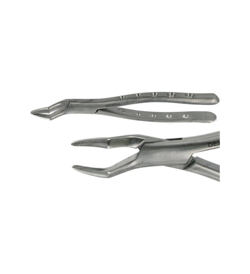 POWER DENTAL USA American Extraction Forcep 65 Upper Root