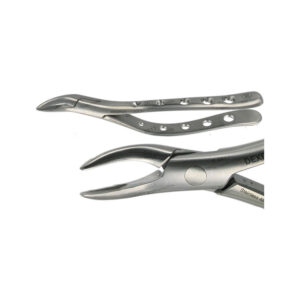 POWER DENTAL USA American Extraction Forcep 69 UP/Lower FRGMENT