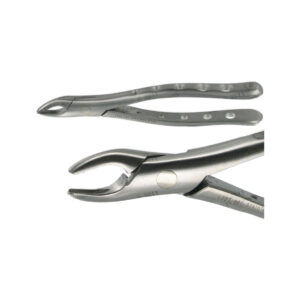 POWER DENTAL USA American Extraction Forcep 101 Universal Premolar