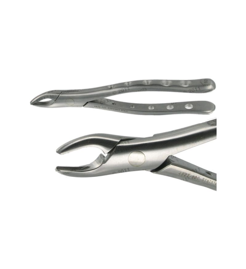 POWER DENTAL USA American Extraction Forcep 101 Universal Premolar