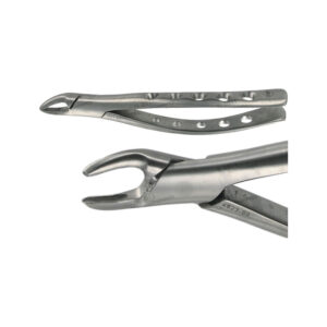 POWER DENTAL USA American Extraction Forcep 150 Upper Premolar