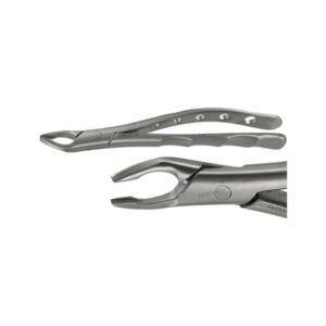 POWER DENTAL USA American Extraction Forcep 150AF Upper Premolar