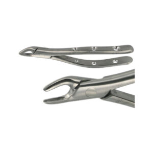 POWER DENTAL USA American Extraction Forcep 150S Upper Premolar
