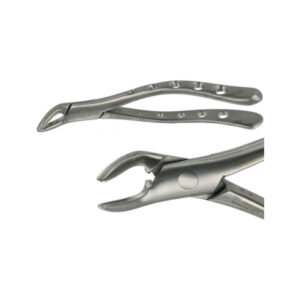 POWER DENTAL USA American Extraction Forcep 151 Lower Premolar