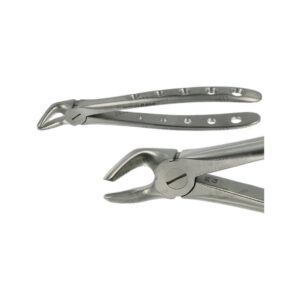 POWER DENTAL USA English Extraction Forcep 8 Lower Premolar