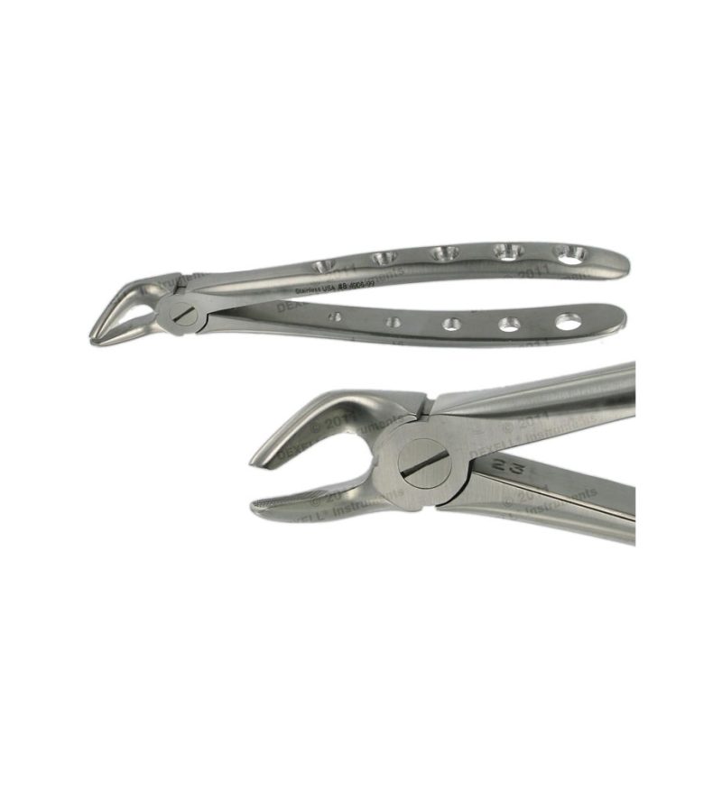 POWER DENTAL USA English Extraction Forcep 8 Lower Premolar