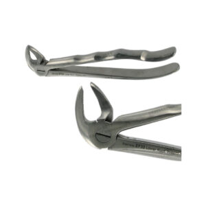 POWER DENTAL USA English Extraction Forcep 33 Lower Root