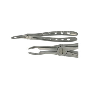 POWER DENTAL USA English Extraction Forcep 44 Upper Root