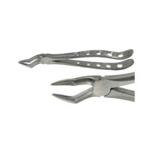 POWER DENTAL USA English Extraction Forcep 51A Upper Root