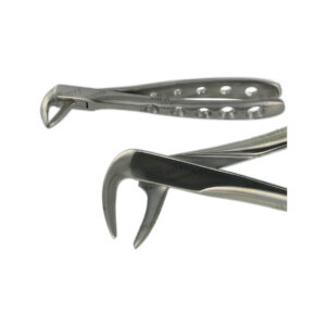 POWER DENTAL USA English Extraction Forcep 74N Lower Incisor