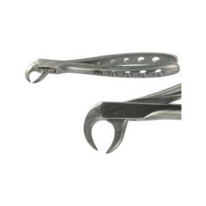 POWER DENTAL USA English Extraction Forcep 86C Lower Molar