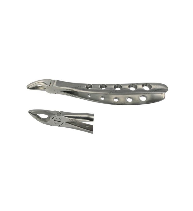 POWER DENTAL USA Extraction Forcep F1 Upper Universal