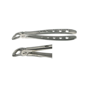 POWER DENTAL USA Extraction Forcep F2 Lower Universal