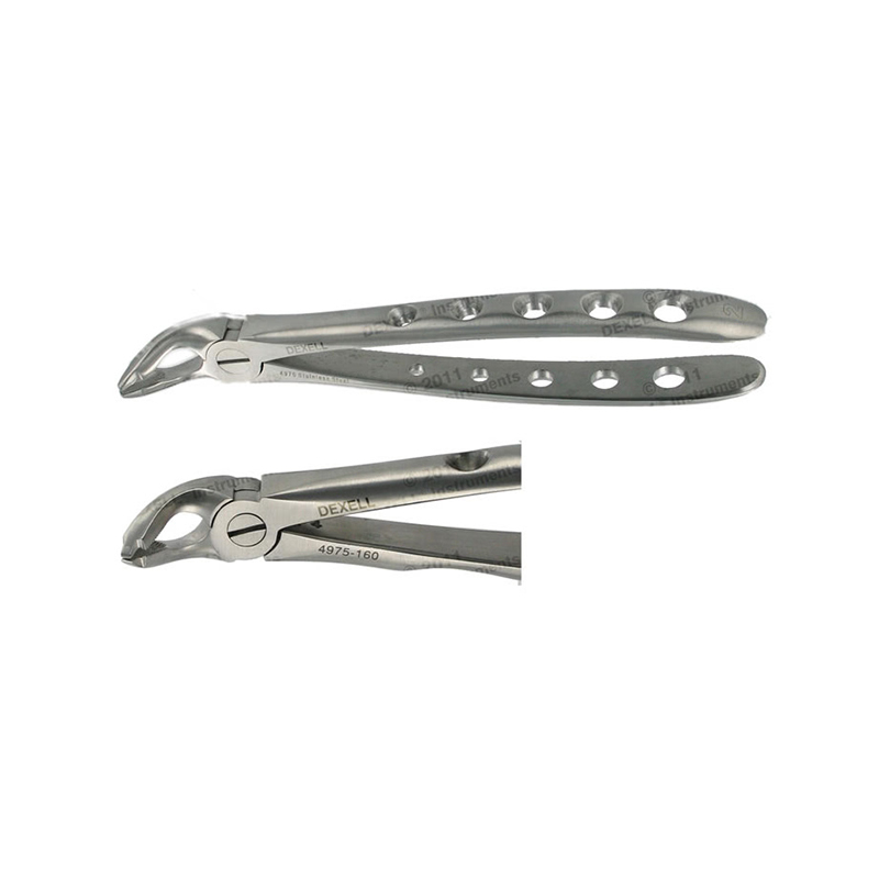 POWER DENTAL USA Extraction Forcep F2 Lower Universal