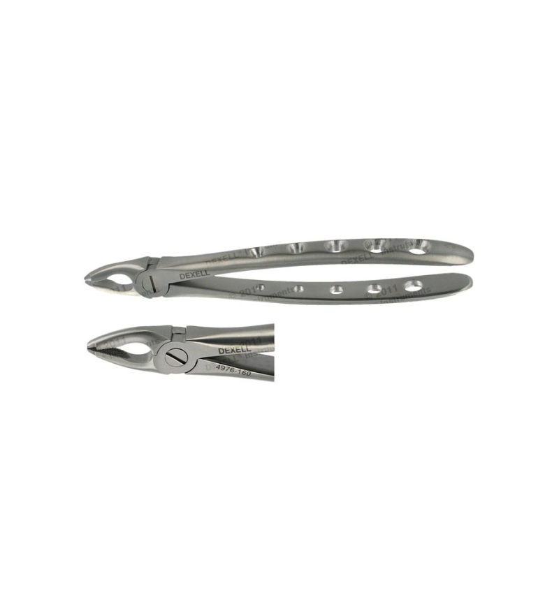 POWER DENTAL USA Extraction Forcep F3 Upper Anterior