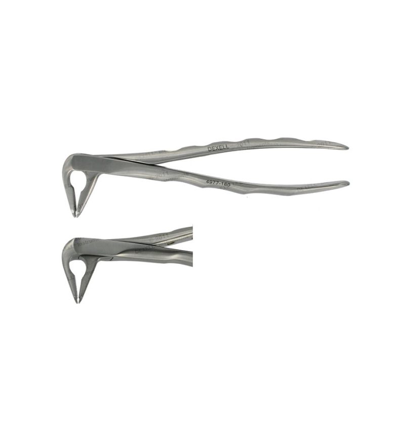 POWER DENTAL USA Extraction Forcep F4 Lower Anterior