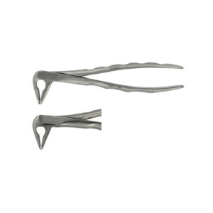 POWER DENTAL USA Extraction Forcep F4 Lower Anterior