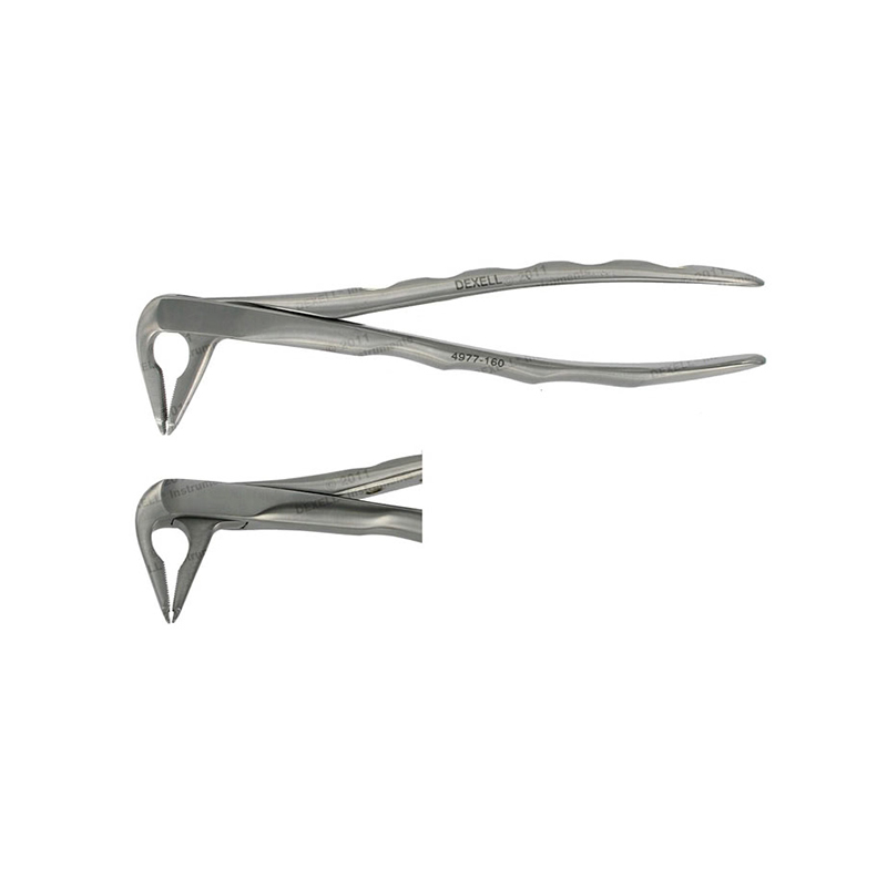 POWER DENTAL USA Extraction Forcep F4 Lower Anterior