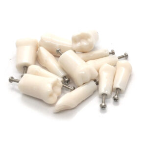 Kilgore Replacement Teeth - A5A-200 - 1pc