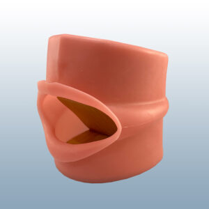 oral-cavity-large