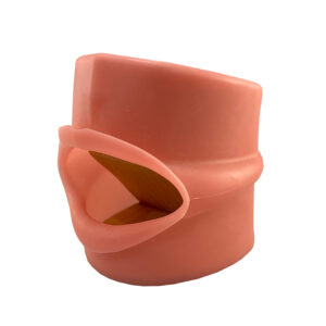 Oral Cavity Cover-Large for Kilgore Nissin Typodonts - Typodont for NDEB exam D95SDP-200